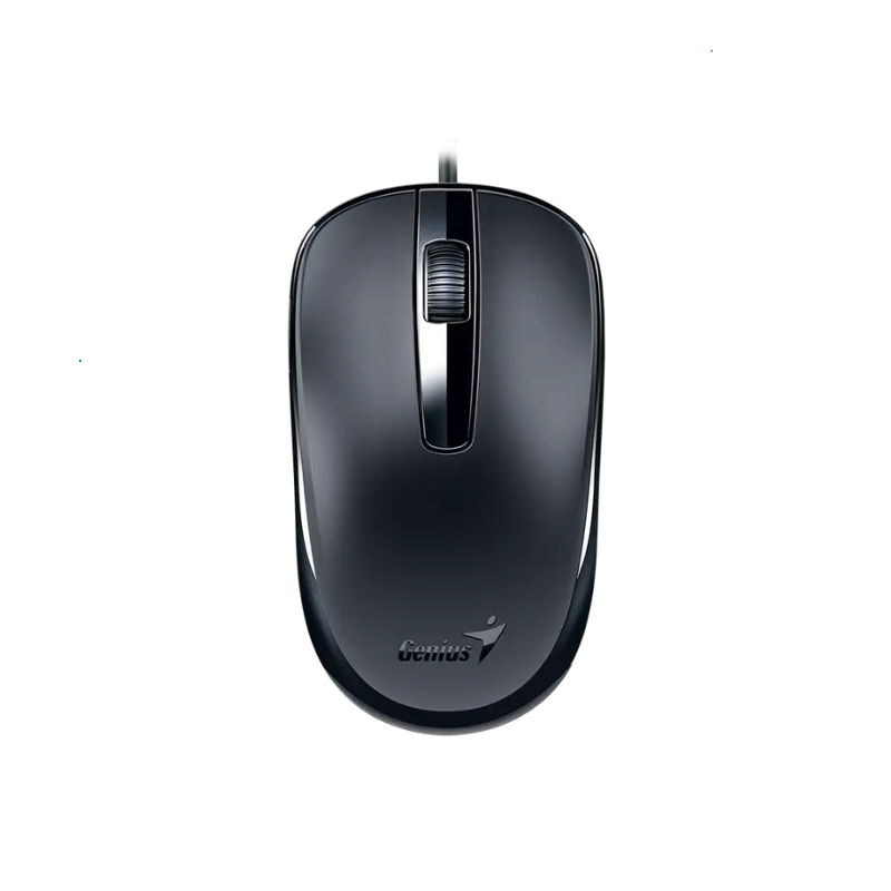 Mouse Genius DX-120,USB-C,Black